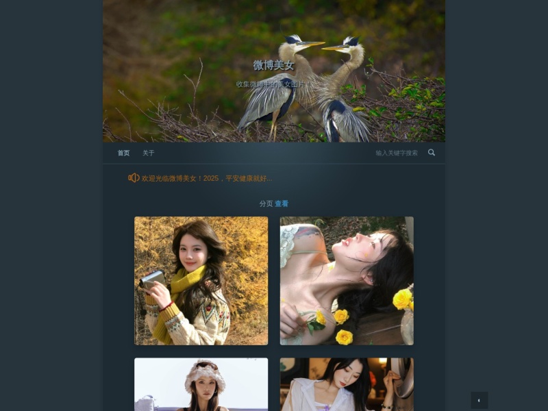 首页 - 微博美女