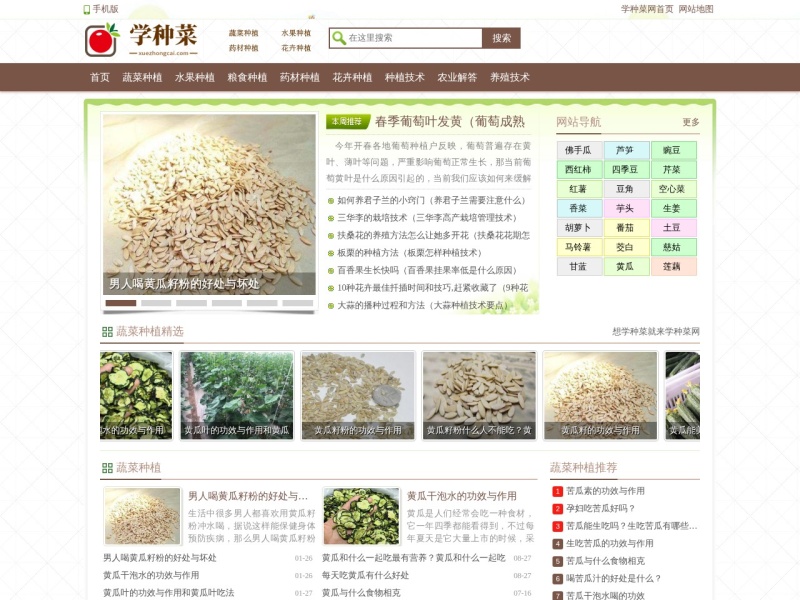 学种菜网-蔬菜种植_水果、粮食、中药材种植技术方法及花卉养殖技巧知识大全